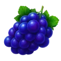 Grapes